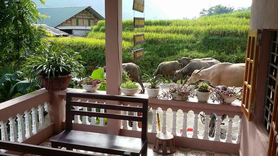 سابا Ta Van Green Hills Homestay المظهر الخارجي الصورة