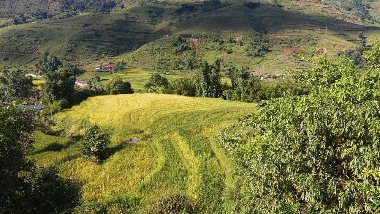 سابا Ta Van Green Hills Homestay المظهر الخارجي الصورة