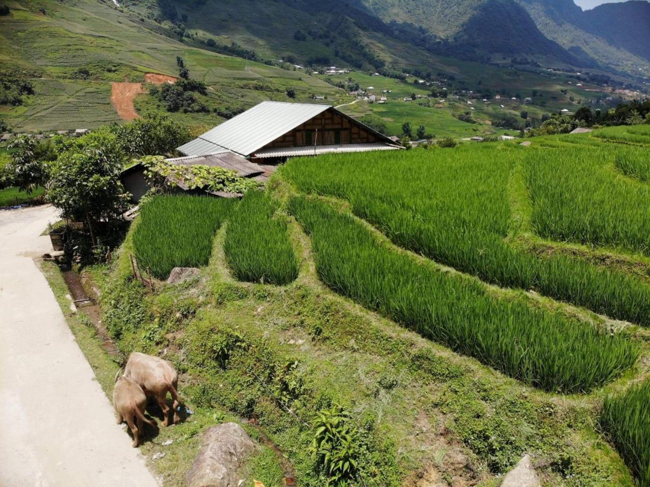 سابا Ta Van Green Hills Homestay المظهر الخارجي الصورة